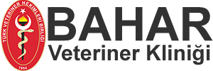 Muhammed BAHAR